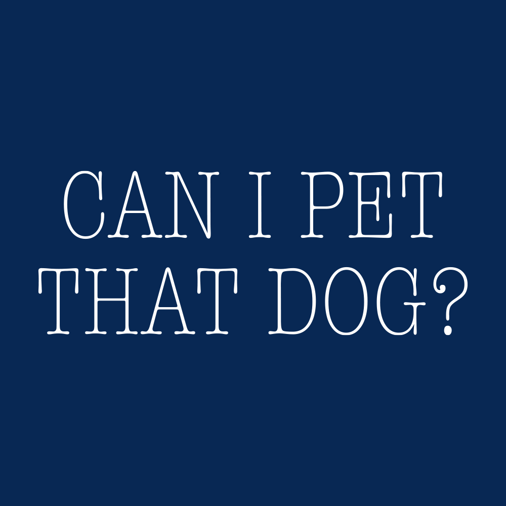 My Death Will Be Me Asking to Pet Someone’s Dog. (And I’m fine with that)
